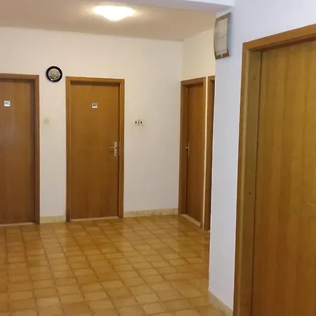 Apartman Dukic *